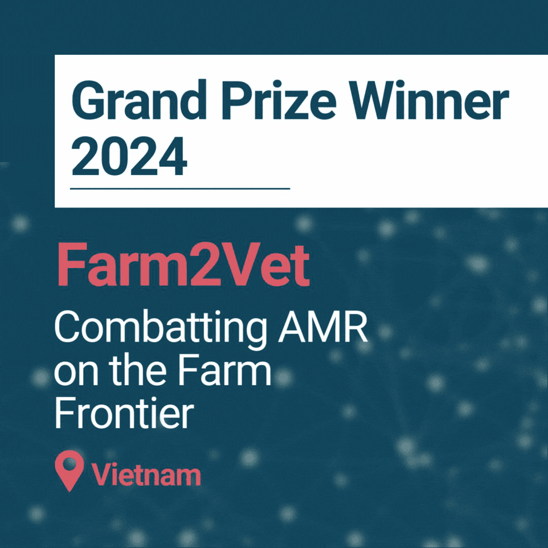 Farm2Vets: Chống lại AMR tại tuyến đầu nông trại